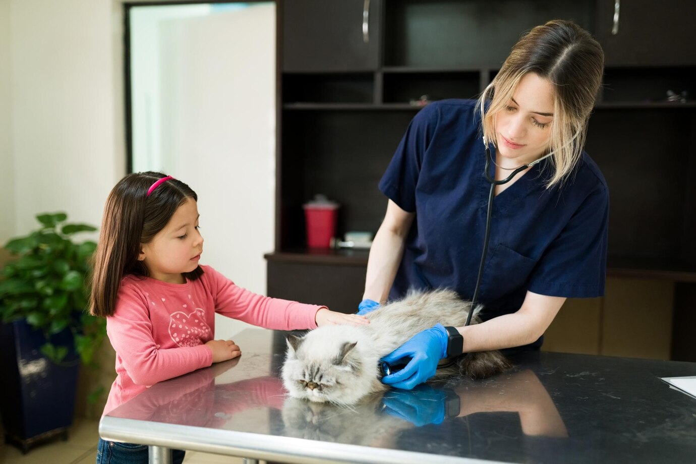 beautiful-woman-working-as-professional-veterinarian-using-stethoscope-listen-heart-old-persian-cat-animal-clinic-little-girl-taking-her-cat-vet_662251-2363 beautiful-woman-working-as-professional-veterinarian-using-stethoscope-listen-heart-old-persian-cat-animal-clinic-little-girl-taking-her-cat-vet_662251-2363